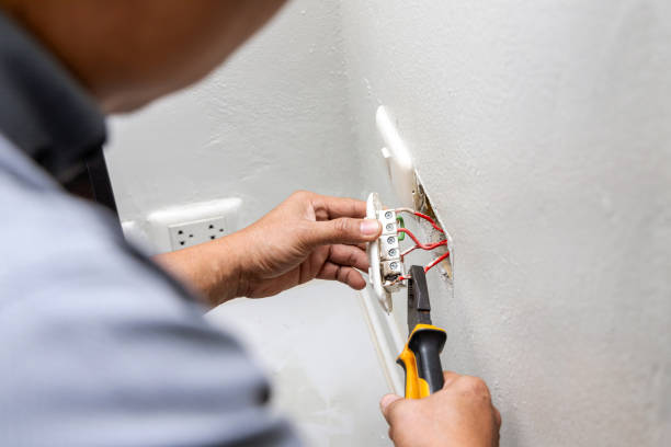 Best Local Electrician Companies  in Barton, NM